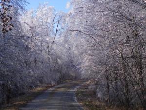Schoolhouse Road, Norfolk