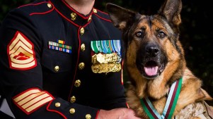 Lucca, 3-Legged Marine Corps Dog, Receives Service Medal