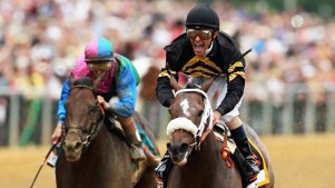Belmont Stakes: Oxbow vs. Orb in the Cards