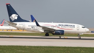 Real-Life Snake on a Plane Disrupts Flight in Mexico