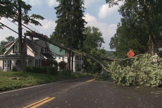 Trees Down, Power Outages After Intense Summer Storms