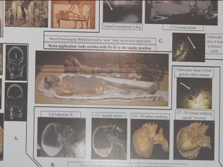 Mummy Mystery