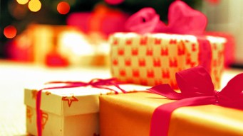 "12 Days of Christmas" Comes True for One Family