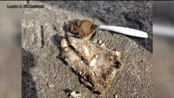 Old Lyme Couple Finds Necklace Buried in Ireland 26 Years Later