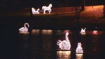 Festival of Silver Lights