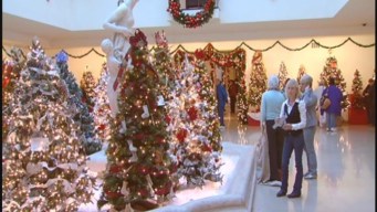 Festival of Trees