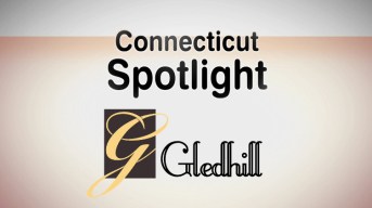 Gledhill "The Accidental Houseplant"
