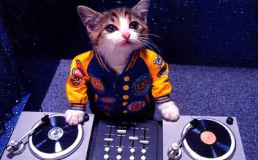I Can Has DJ Hero