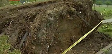 Severe Storms Damage Danbury