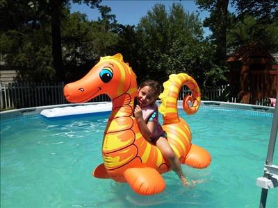 Your Summer 2012 Photos