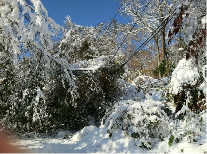 Freak October Snowstorm