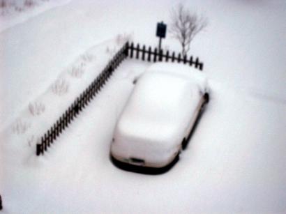 6:30AM-jpgs(snowfall)