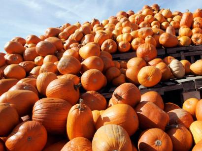 How much would you pay to toss rotten pumpkins from the balcony of a museum?