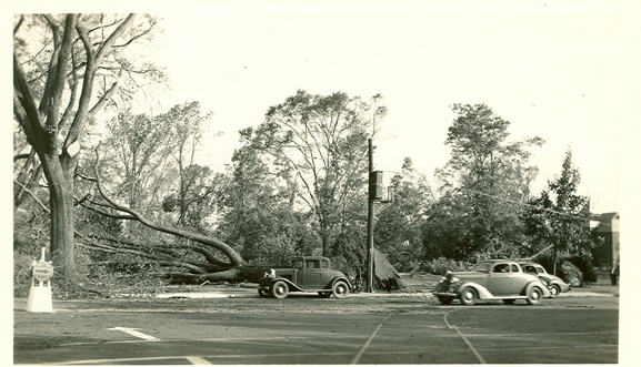 Photos of 1938 Hurricane