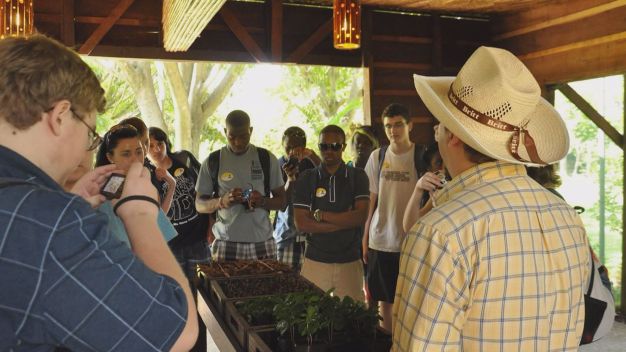 Ten Day Costa Rican Journey