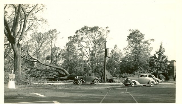 Photos of 1938 Hurricane