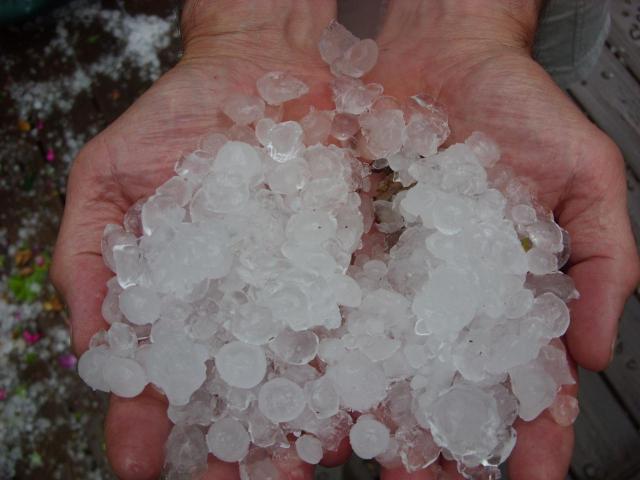 Summer Storm Snapshots