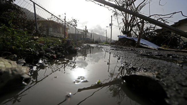Gov. signs executive order mobilizing resources for Puerto Rico