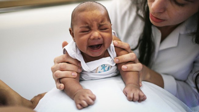 Avoid Brazil Olympics because of Zika, US officials caution pregnant women