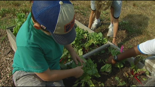Nature is the classroom for students at a science-enrichment program in Bloomfield. They are learning the science of gardening.
