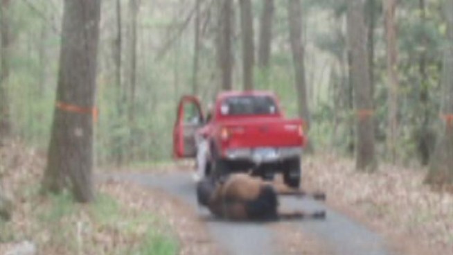A Stafford man defends himself against accusations of animal cruelty when he tried to get his horse home.