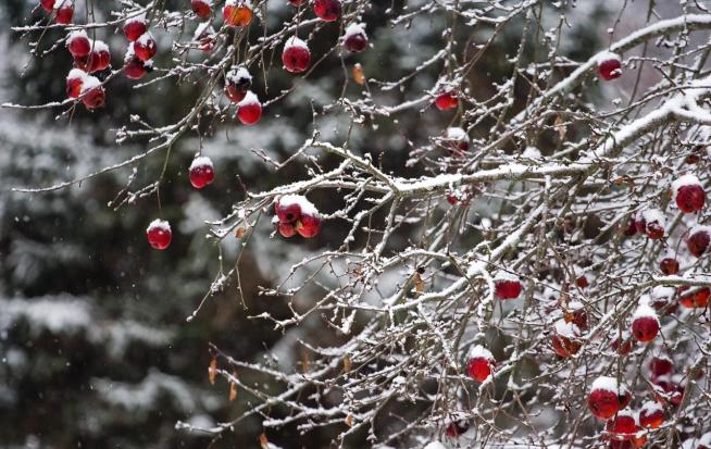 Snows Falls, Budgets Fall Apart 