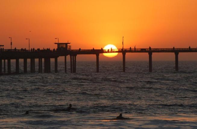 Man Drowns Jumping Off New Haven Pier