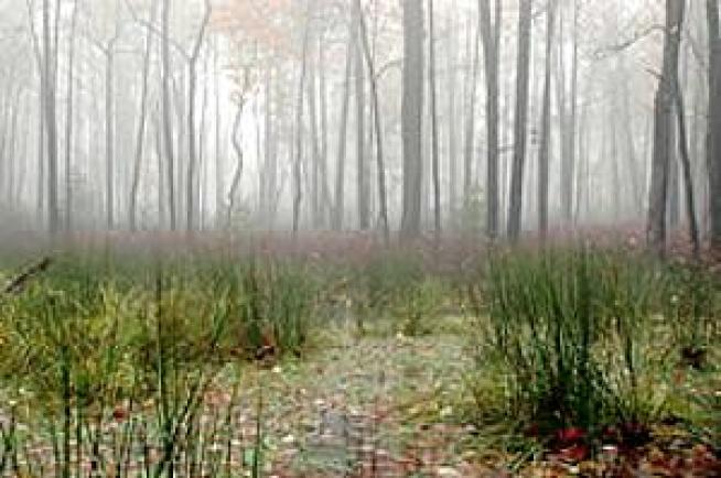 New National Wildlife Refuge Established in Cherry Valley