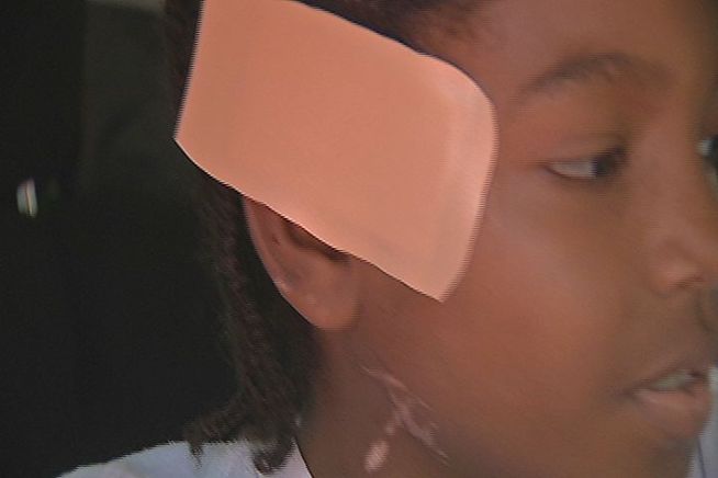 The parents of a 10-year-old attacked by a pitbull want the dog put down, but the owner is fighting to get the dog back.