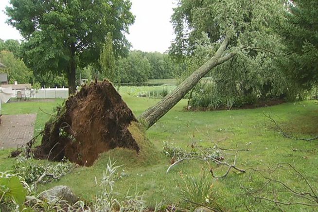 A strong afternoon thunderstorm rolled through Glastonbury, leaving a path of downed trees and power lines in its path.