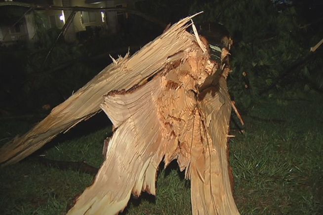 Residents feel they were lucky in New Milford, where despite downed trees, there were few power outages from Thursday night's storm.