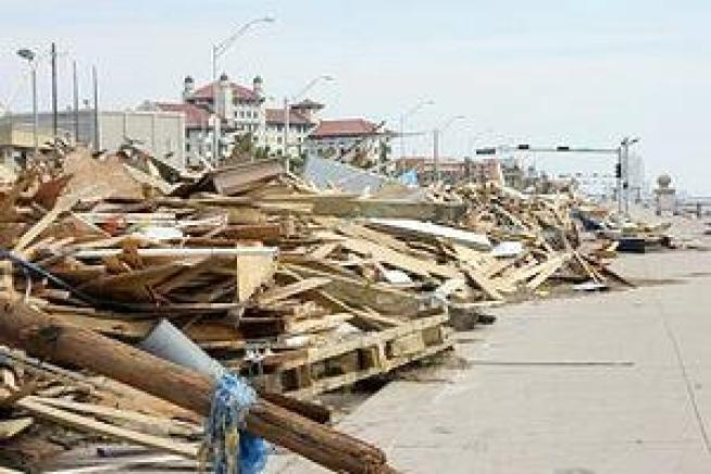 UNEP: 2008 Was The Year of Living Dangerously