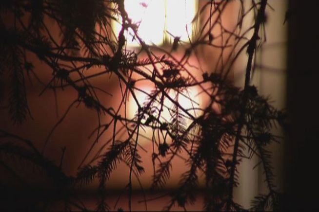 Police are cracking down on people impersonating MDC workers to gain access to people's homes.
