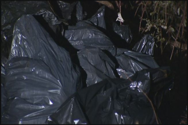 Wesleyan University students find remains of sheep in 26 black trash bags behind an abandoned house on River Road in Middletown.