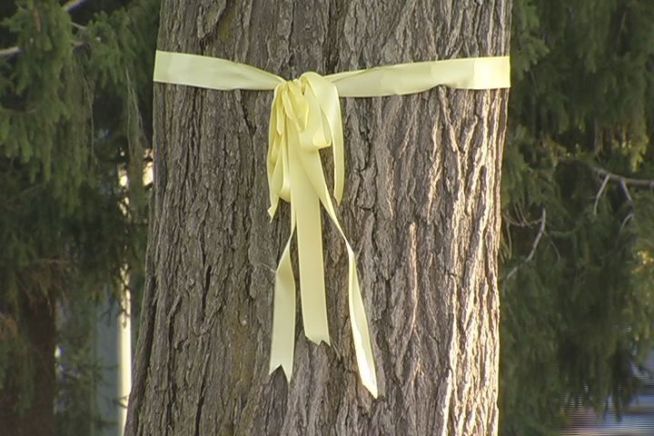 The struggle over the yellow ribbons on the green in Litchfield continues. The Board of Warden and Burgesses is responsible for the area around the green. The families of those serving in the Armed Forces would like to have five ribbons placed in honor of the five branches of military. So far the 2 sides cannot reach a compromise. In the meantime one yellow ribbon hangs on the green.