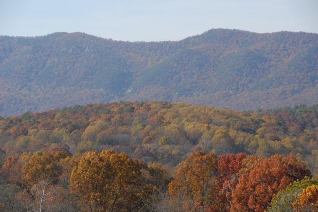 Spectacular Fall Color? Maybe!