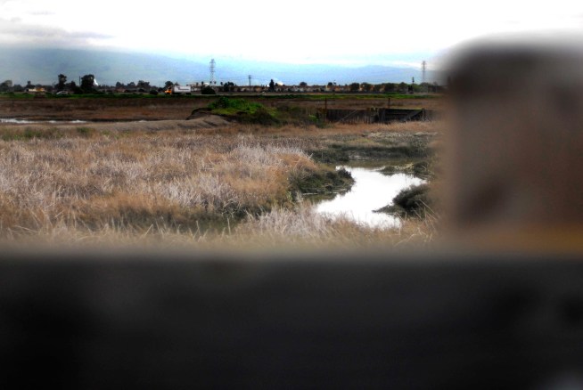 New Haven wants Hamden to open up fence.