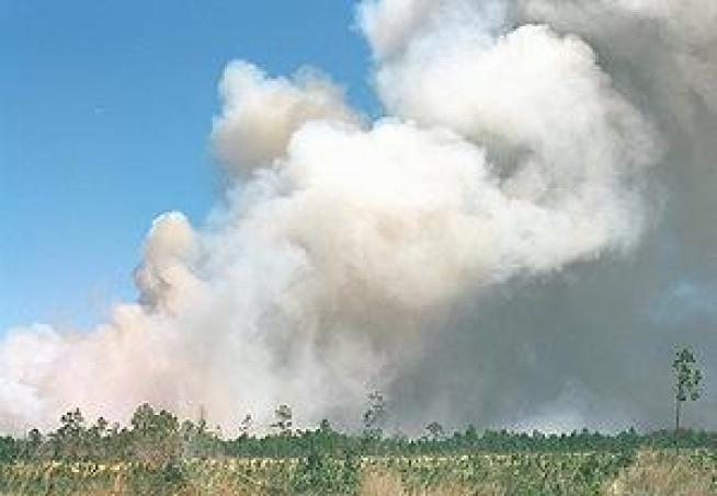 Nature Conservancy Strike Teams Burn to Restore Florida Lands