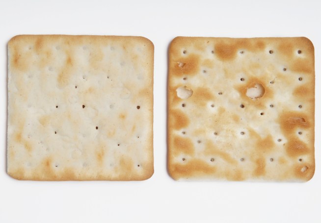 Salmonella Cases: Half Still Come From Crackers