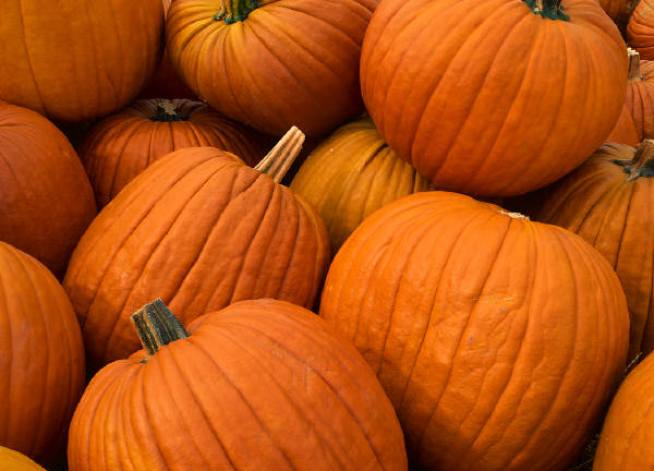 Pumpkin, Sausage Recipe