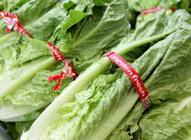 Classic Caesar Salad