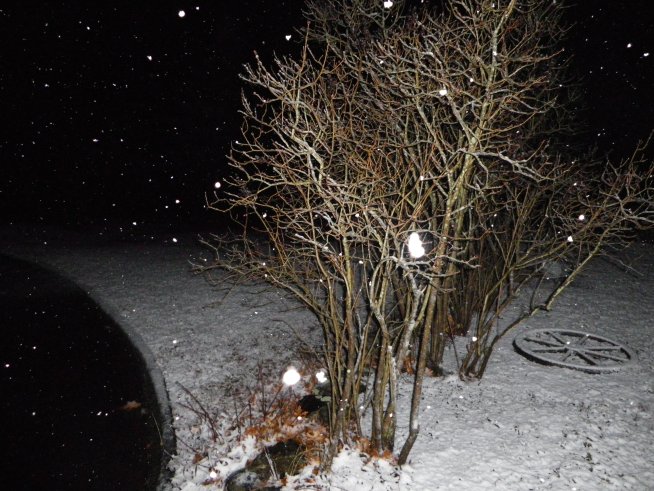 Snowfall Creates Pretty Picture, Messy Roads