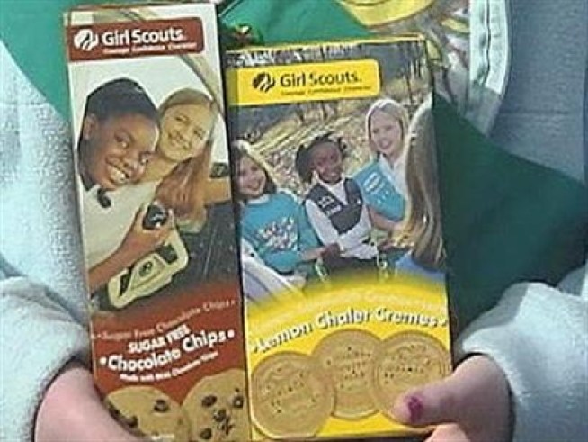 This is How the Cookie Crumbles