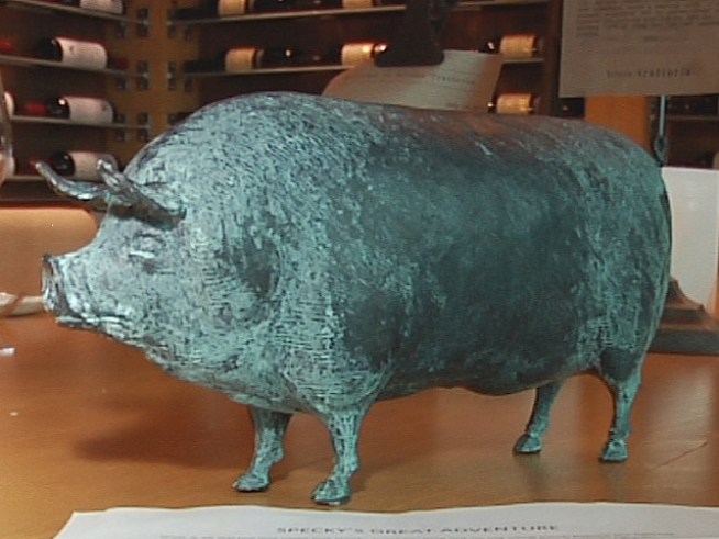 This Little Piggy Finally Made it Home