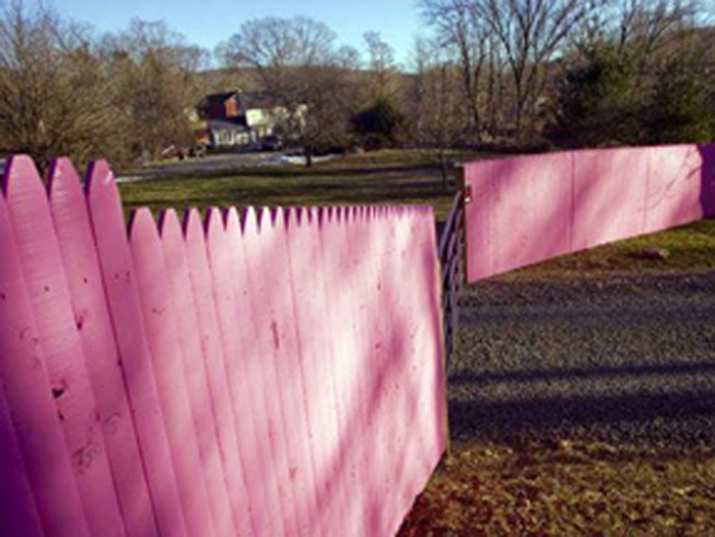 Seeing Red Over a Big Pink Fence 