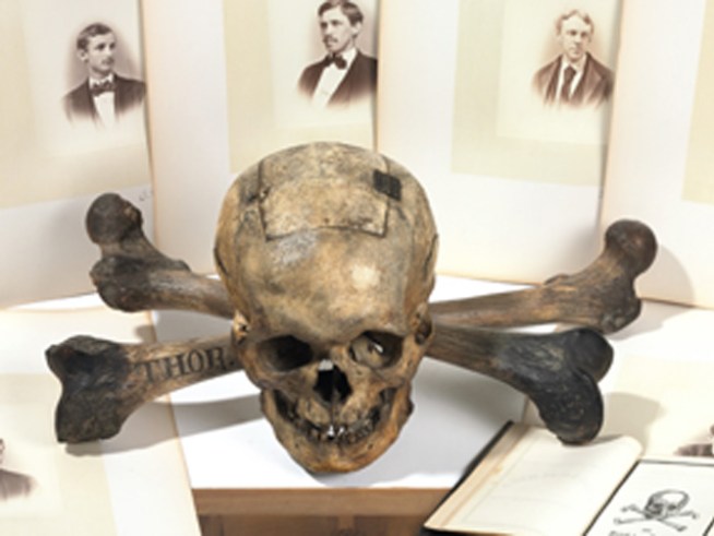 No Skull and Bones for Highest Bidder