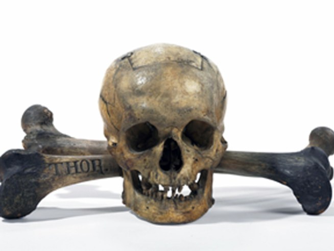 Secrets of the Skull For Sale