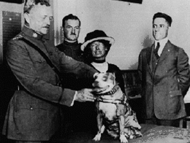 Four-Legged War Hero Gets His Due Honors