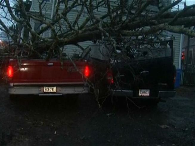 Residents of apartments on Fern Street in Hartford woke to find a tree had fallen on cars.