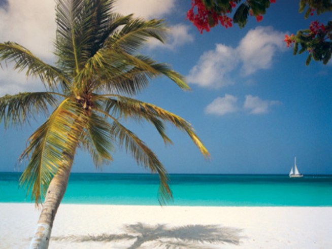 Former Travel Agency Owner Faces New Charges